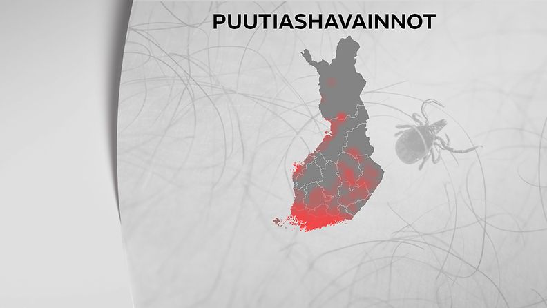 OMA: puutiaisten levinneisyys Suomessa
