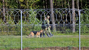 Maastopukuiset rajavartijat ja koira kävelevät Liettuan raja-aidan toisella puolella metsän reunassa.