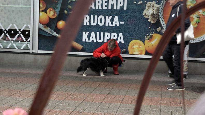 Useimmat ruokakaupat eivät päästä koiria sisään ostoksille. Kamu, 13, odottelee Munkkivuoren ostoskeskuksen ulkopuolella Helsingissä18.8.2021. 