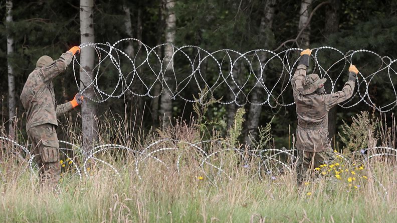 Kaksi miestä asentaa piikkilankaa Puolan ja Valko-Venäjän väliselle rajalle.