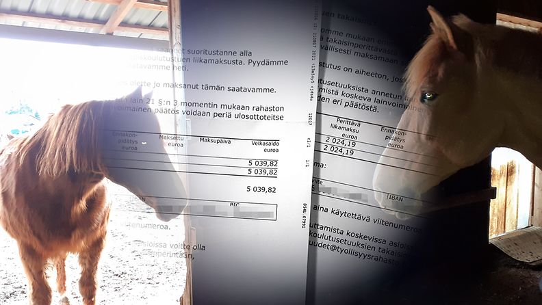 Hevosalan yrittäjä Maarit sai yli 7 tuhannen euron laskun 172 euron kuukausituloistaan opiskeluaikana.