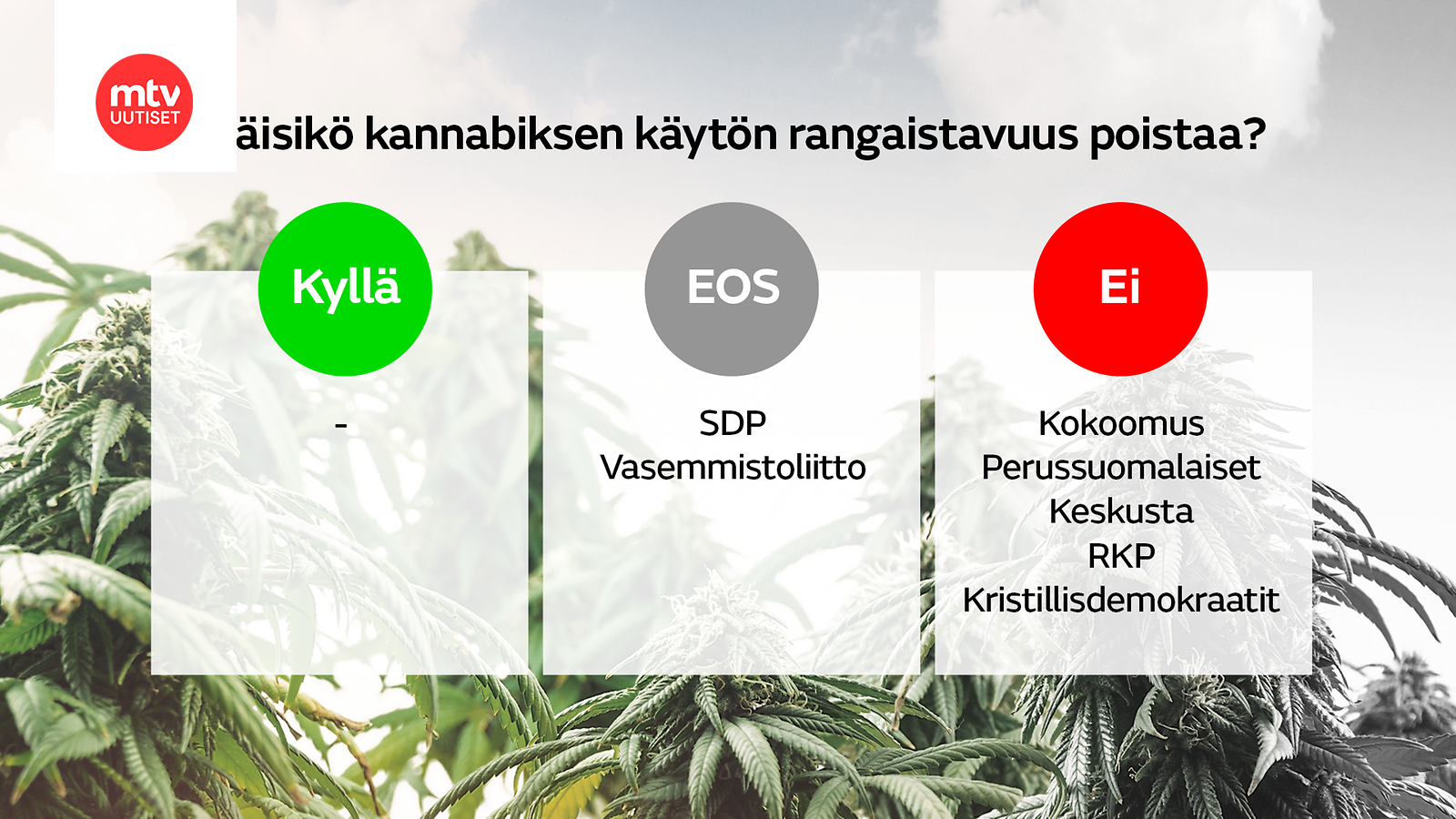 Valtaosa Puolueista Ei Kannata Kannabiksen Laillistamista, Yksi ...