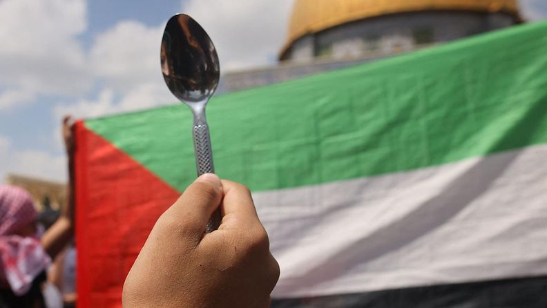 Ihminen nostaa lusikan Palestiinan lipun eteen.