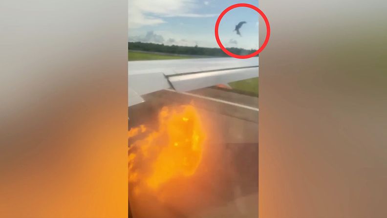 Matkustaja kuvasi lentokoneen ikkunasta nousua, kun turbiini alkoi puskemaan liekkipilviä
