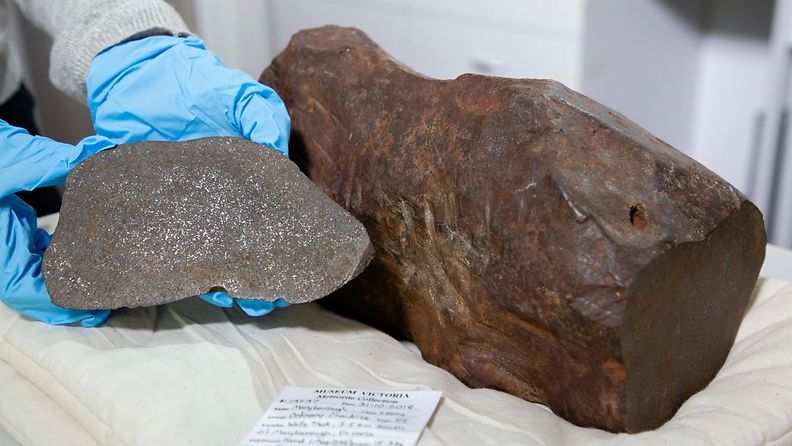 Maryboroughin meteoriitti. Kuva: Museums Victoria