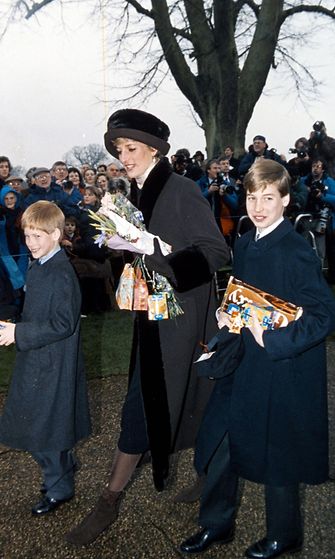 Prinssi Harry, prinsessa Diana ja prinssi William 1994