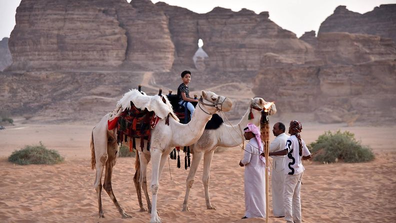 saudi-arabia kamelit