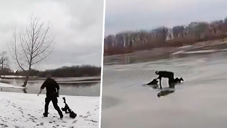 Sankaripoliisi ryntäsi pelastamaan jäihin pudonnutta koiraa – ripeä pelastusoperaatio tallentui videolle
