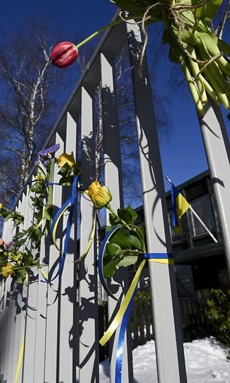 LK 6.3.2022 Ukrainan suurlähetystön aita kukitettuna Helsingissä 6. maaliskuuta 2022.