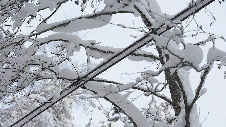 Lumisia sähköjohtoja ja taipuneita puita Keuruulla 28. tammikuuta 2012.