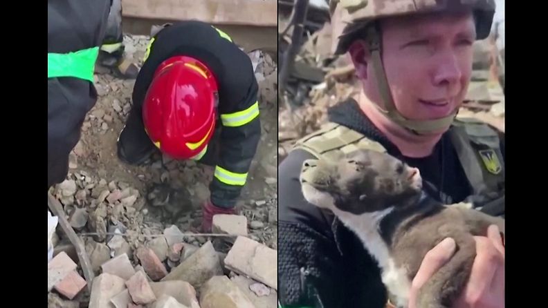 Pelastustyöntekijät kaivoivat koiranpennun talon raunioista Mykhailivkassa, Donetskissa.