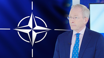 OMA: Risto E. J. Penttilä, Nato, asiantuntija