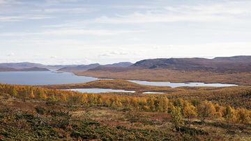 Inarinjärvi ja ruskan värejä luonnossa Mallan luonnonpuistossa 12. syyskuuta 2021. 