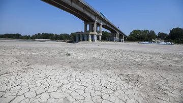 Näkymä Po-joella 15. kesäkuuta. Joki kärsii pahimmasta kuivuudesta 70 vuoteen. 