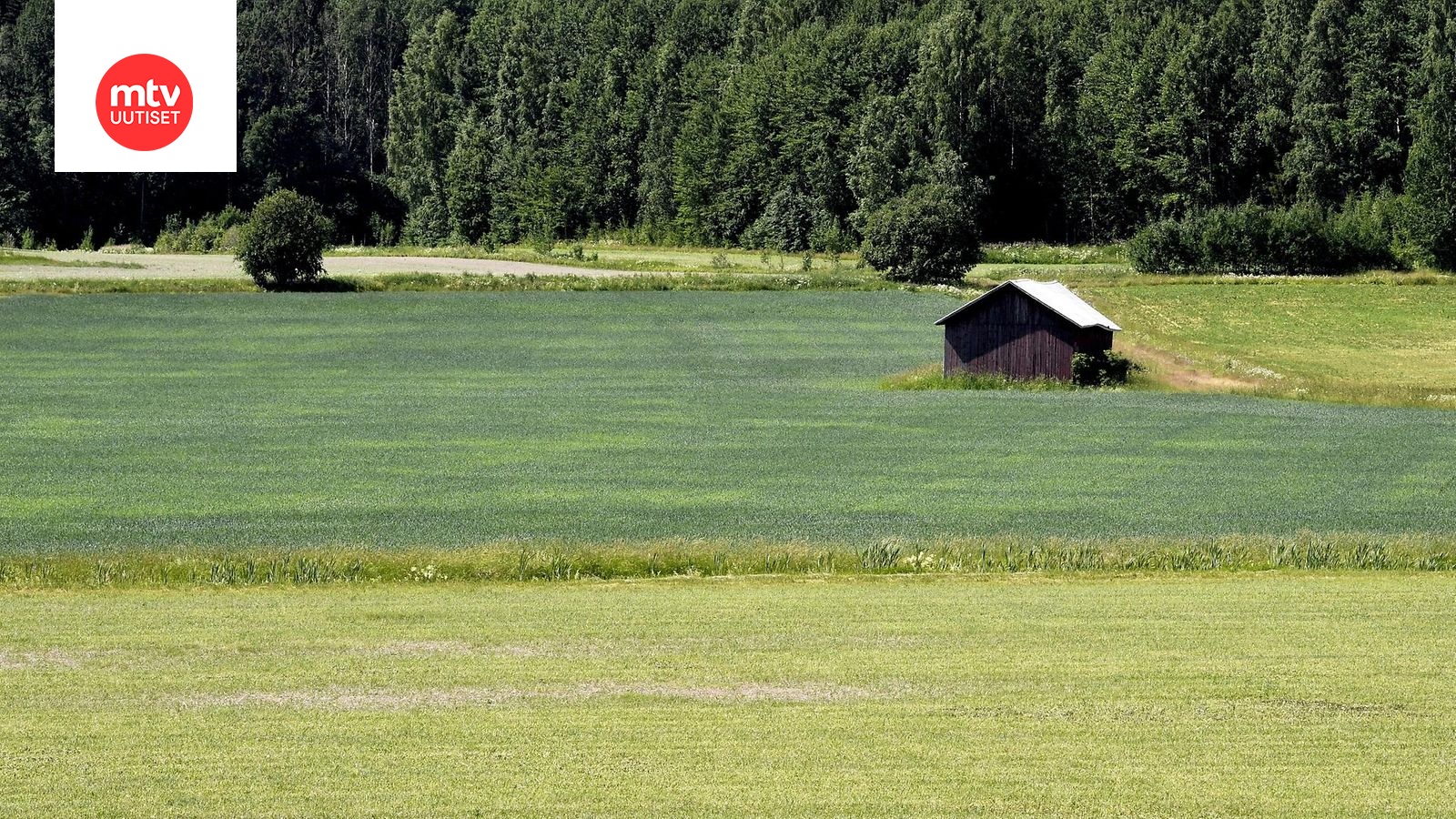 Satonäkymät pääosin hyvät – paikalliset erot isoja 