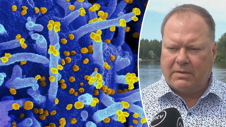 Markku Broas koronavirus