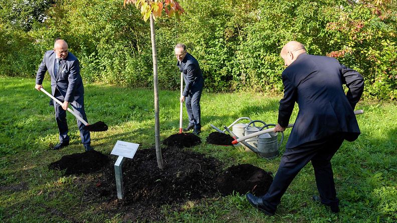 Puolan ulkoministeri Zbigniew Rau, Saksan ulkoministeri Heiko Maas ja ulkoasiainministeri Jean-Yves Le Drian istuttavat puita Buchenwaldissa.