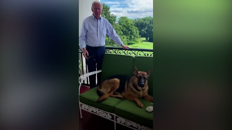 Reuters: Joe Biden ja hänen koiransa Valkoisen talon terassilla