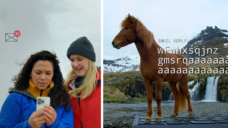 Hevoset vastailevat sähköposteihin Islannin kampanjassa.