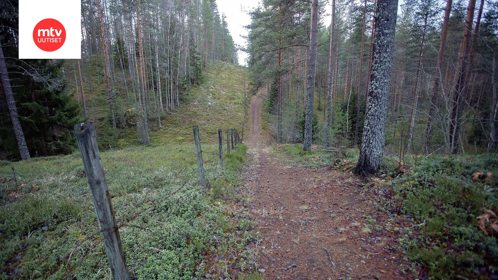 Mies käveli Venäjän ja Suomen rajan yli Kiteellä 