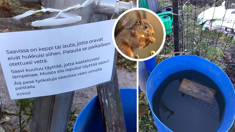 Oravan pelastuslautta ja kiipeämiskeppi Meilahden siirtolapuutarhassa Helsingissä.