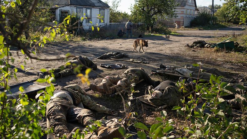 Kuolleita venäläissotilaita Lymanissa. Paikallisten mukaan Venäjän joukot hylkäsivät kaatuneet vetäytyessään kaupungista.