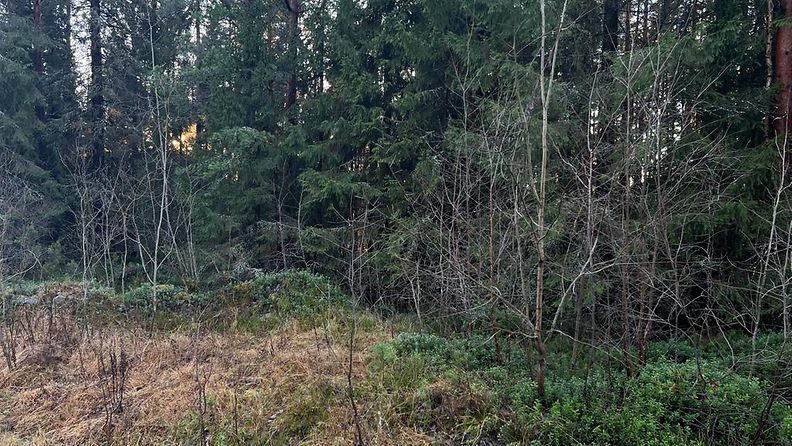 Oulun Heikinharju, ruumis löytyi maastosta