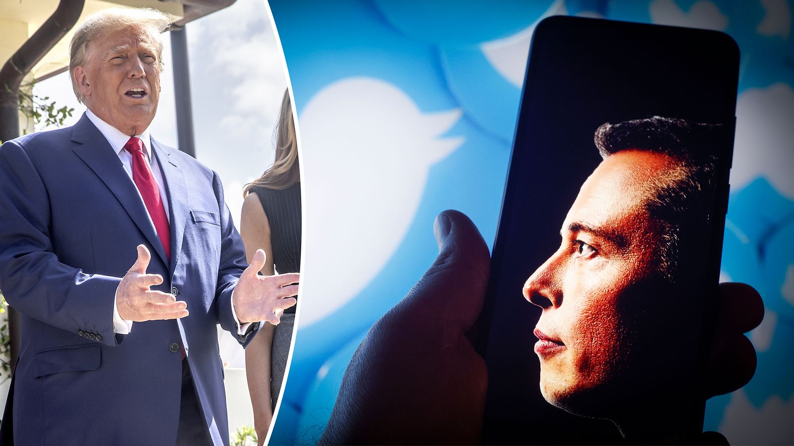 Elon Musk käynnisti äänestyksen: Donald Trump tekemässä paluun Twitteriin -  