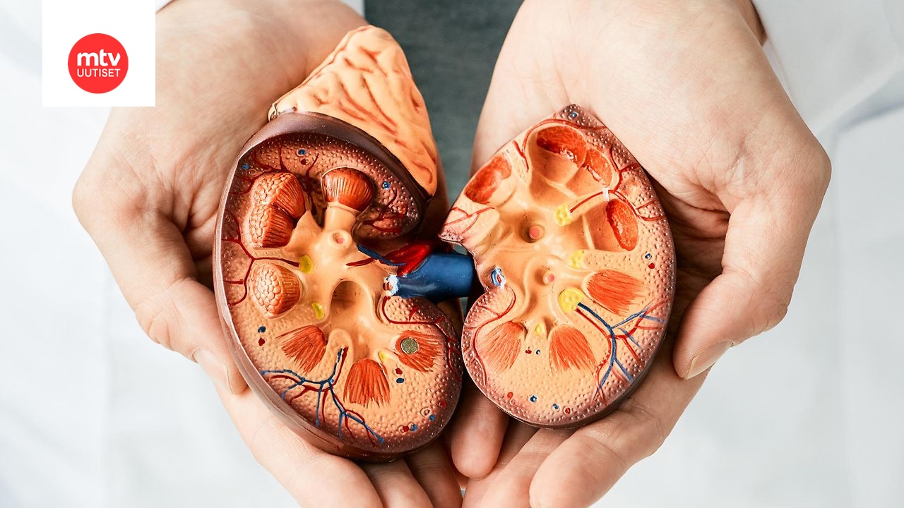 Munuaistautien tavallisimmat merkit sairaus usein pitkään oireeton