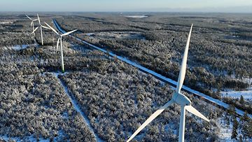 LK 5.1.2023 Enerconin toimittamia tuulivoimaloita SABA Wind Oy Ab:n tuulivoimapuistossa Sändössä Hangossa 5. tammikuuta 2023.