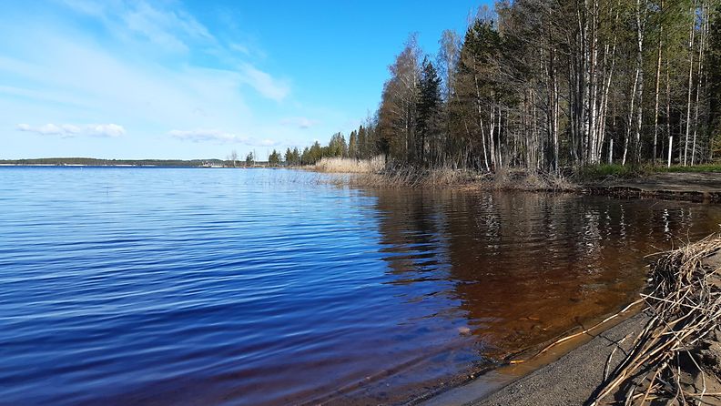 vesistöt, tummuminen, Suomi