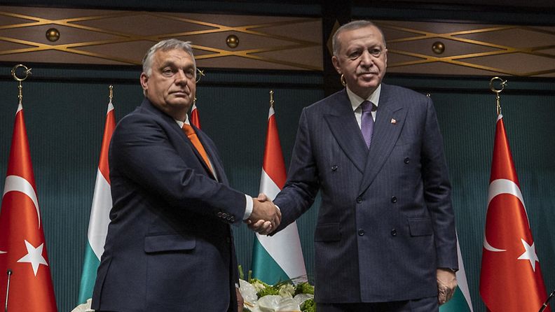 Unkarin Orban ja Turkin Erdogan marraskuussa 2021.
