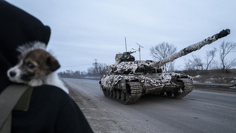 Ukrainan panssarivaunu ja koiranpentu.