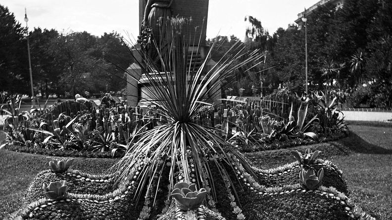 Runebergin Esplanaadi. Kukkaistutuksia Runebergin patsaan ympärillä 1910-luvulla.