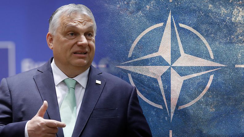 Unkari Orban Nato