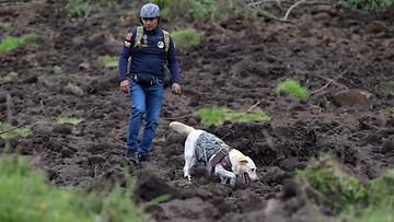 Kuvassa pelastaja ja hajukoira Ecuadorissa 27. maaliskuuta 2023.