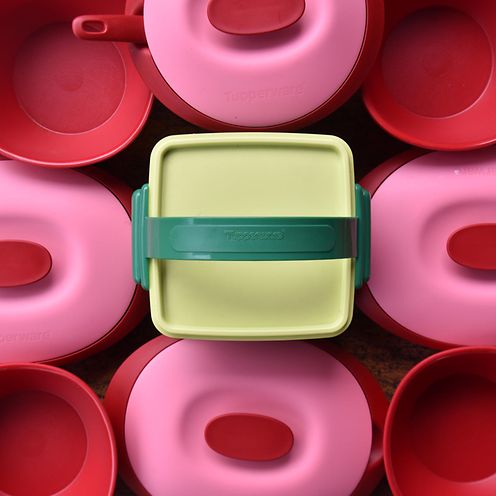 shutterstock_1849791106