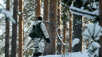 Suomen sotilas talvi AOP