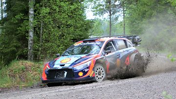 suninen testi