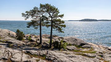 Kallioinen saari Turun rannikolla Ruissalossa.