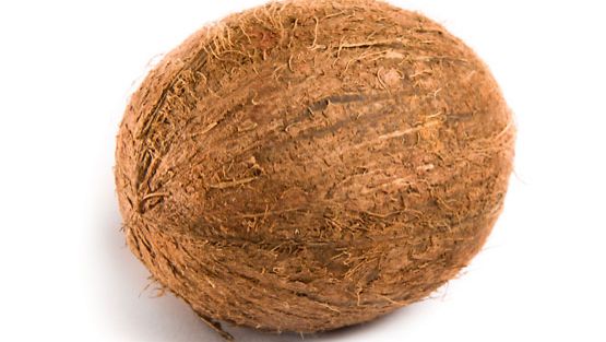 Palmusta tippuva kookospähkinä voi kiihtyä jopa 80km/t nopeuteen.