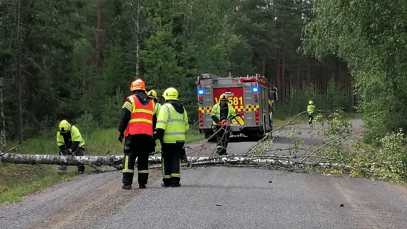 Kaatunut puu tiellä Koskella. Paikalla paloauto ja pelastajia moottorisahan kanssa.