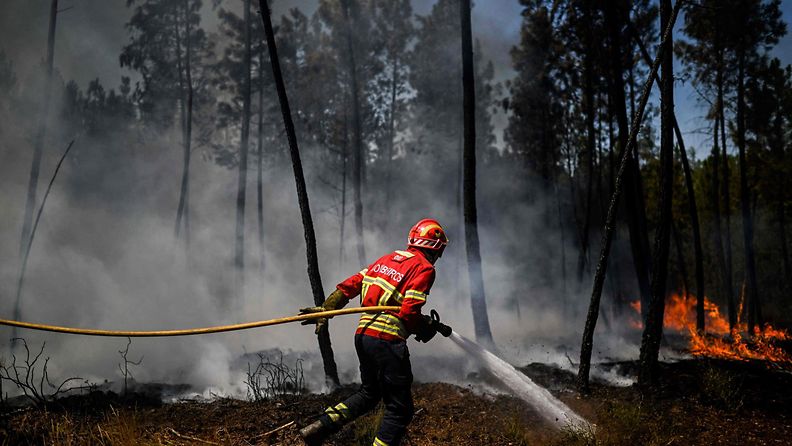 Palomies sammuttaa maastopaloa Portugalissa 6. elokuuta.