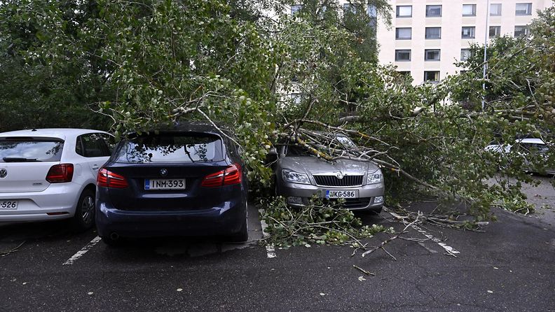 LK 20.9.2023 Autojen päälle myrskyssä kaatunut puu Lauttasaaressa Helsingissä 20. syyskuuta 2023. Voimakkaan tuulen kaatamat puut ovat yön aikana katkoneet teitä eri puolilla Suomea ja paikallisesti myös junaliikenteen.