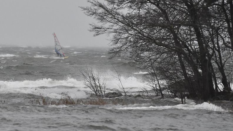 LK 18.10.2023 Purjelautailija vauhdissa myrskysäässä Helsingin Lauttasaaressa 19. marraskuuta 2020.