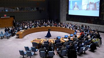 LK YK:n turvallisuusneuvosto