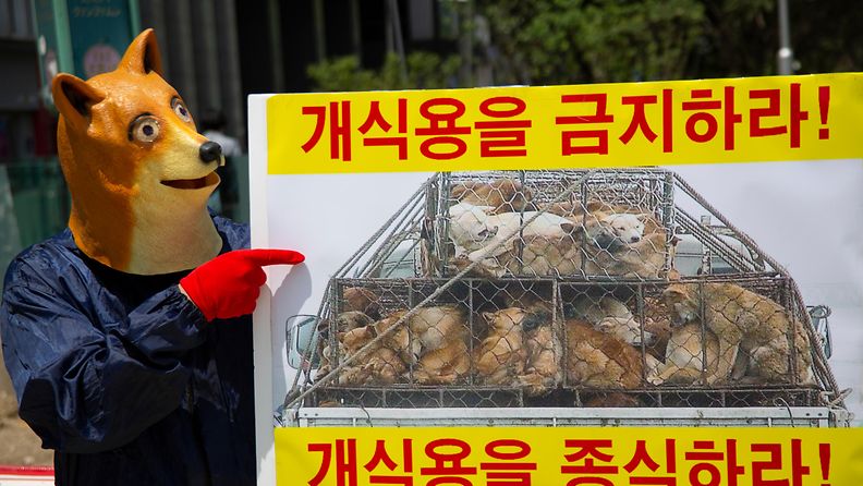 AOP Etelä-Korea koirat