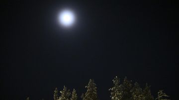 LK 271123 Kuu paistaa taivaalta pakkasyönä Inarissa 27. marraskuuta 2023.
