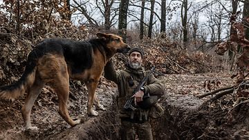 Ukrainan sotilas ja koira 26. marraskuuta 2023 Donetskin alueella.