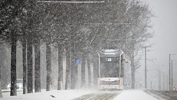 Pikaraitiovaunu 15 matkaa lumisateisessa Pitäjänmäessä Helsingissä 28. marraskuuta 2023.